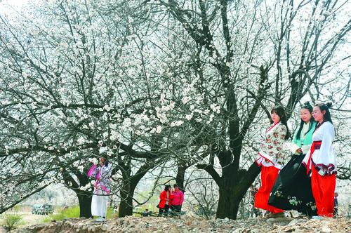 007球探最新版本足球数据